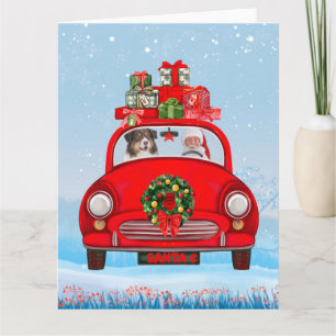 Australian Shepherd Dog In Car With Santa Claus Card