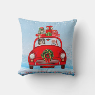 Australian Shepherd Dog In Car With Santa Claus Cushion