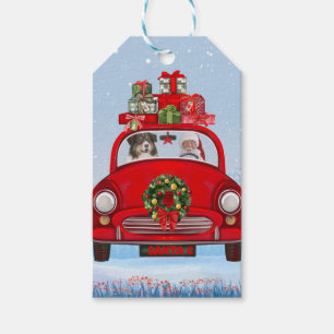 Australian Shepherd Dog In Car With Santa Claus Gift Tags
