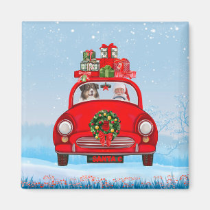 Australian Shepherd Dog In Car With Santa Claus Magnet