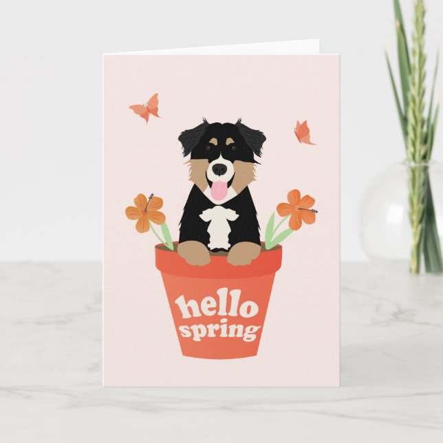 Australian Shepherd Dog In Flower Pot Card (Front)