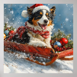 Australian Shepherd Dog in Sledge Chriistmas Poster