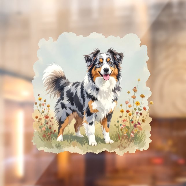 Australian Shepherd Dog Merle Long Tail (Sheet 2)