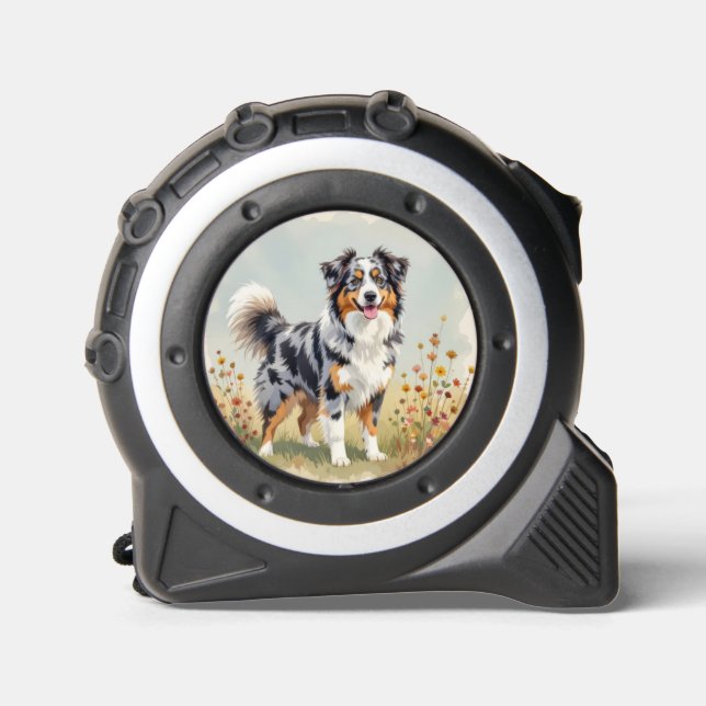 Australian Shepherd Dog Merle Long Tail 1 (Front)