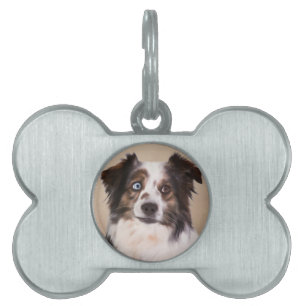Australian Shepherd Dog Oil Painting Art Pet ID Tag
