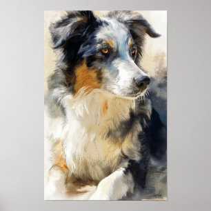 Australian shepherd dog portrait poster