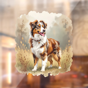 Australian Shepherd Dog Red Merle Aussie