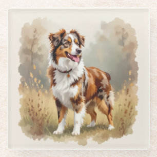 Australian Shepherd Dog Red Merle Aussie Glass Coaster