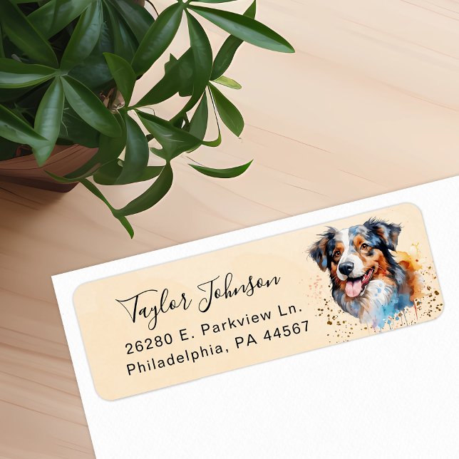 Australian Shepherd Dog Return Address (Creator Uploaded)