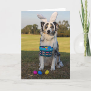 Australian Shepherd Dog with Easter Eggs Holiday Card