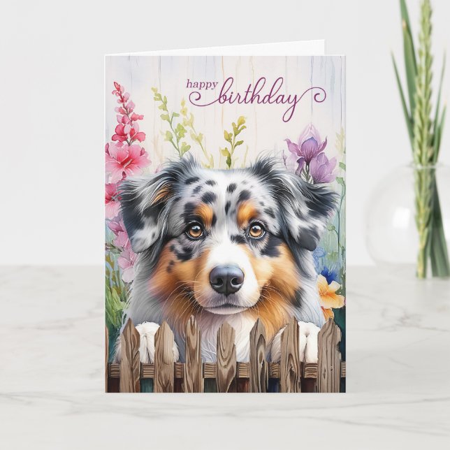 Australian Shepherd Garden Gladiolus Birthday Card (Front)