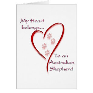 Australian Shepherd Heart Belongs