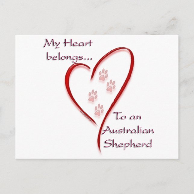 Australian Shepherd Heart Belongs Postcard (Front)