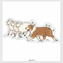 Australian Shepherd - Herding