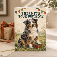 Australian Shepherd I Herd It's Your Birthday