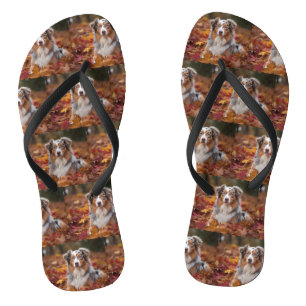 Australian Shepherd in Autumn Leaves Fall Inspire Jandals