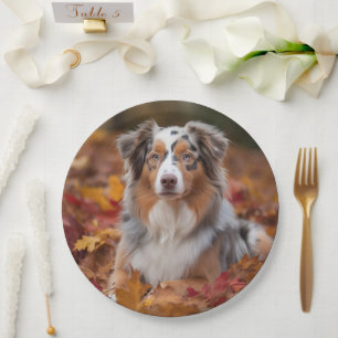 Australian Shepherd  in Autumn Leaves Fall Inspire Paper Plate