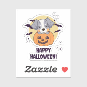 Australian Shepherd In Pumpkin Cute Happy