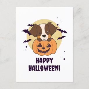 Australian Shepherd In Pumpkin Cute Happy Holiday Postcard