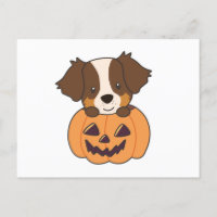 Australian Shepherd In Pumpkin Cute Happy