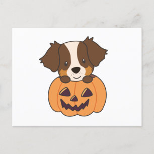 Australian Shepherd In Pumpkin Cute Happy Postcard