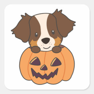 Australian Shepherd In Pumpkin Cute Happy Square S Sticker
