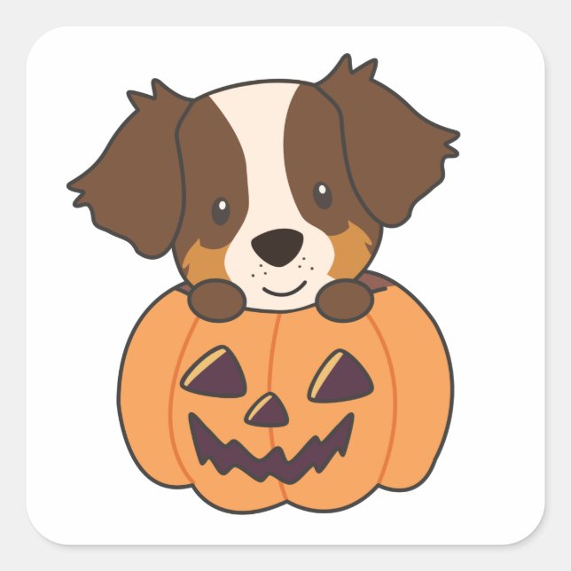 Australian Shepherd In Pumpkin Cute Happy Square S Sticker (Front)
