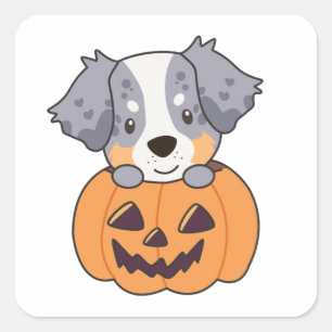 Australian Shepherd In Pumpkin Cute Happy Square S Sticker