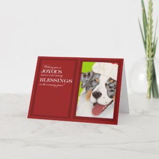 Australian Shepherd in Santa Hat Christmas Card