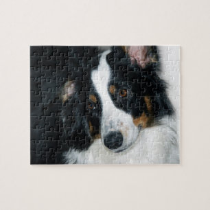 Australian Shepherd Jigsaw Puzzle