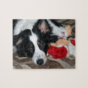 Australian Shepherd Jigsaw Puzzle