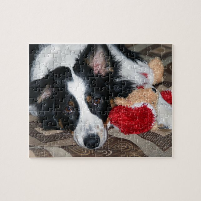 Australian Shepherd Jigsaw Puzzle (Horizontal)