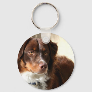 Australian Shepherd keychain