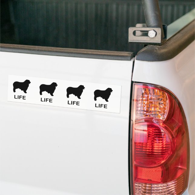 australian shepherd life bumper sticker (On Truck)