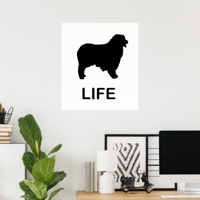 australian shepherd life poster (Home Office)