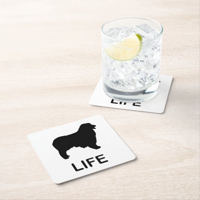 australian shepherd life square paper coaster (Insitu)