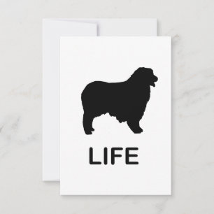 australian shepherd life thank you card