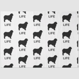australian shepherd life tissue paper