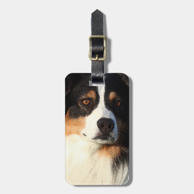 Australian Shepherd Luggage Tag (Front Vertical)