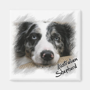Australian Shepherd Magnet