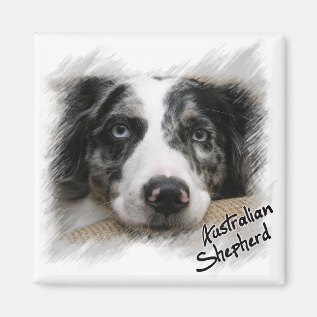 Australian Shepherd Magnet (Front)