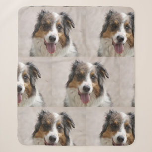 australian shepherd merle sherpa blanket