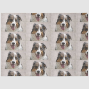 australian shepherd merle tissue paper