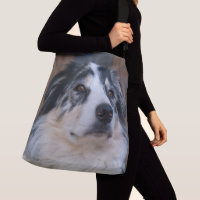 Australian Shepherd Mix Close-Up Photograph