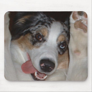 Australian Shepherd Mouse Pad