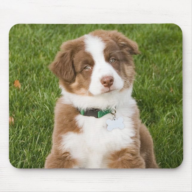 Australian Shepherd Mousepad (Front)