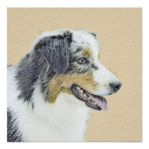 Australian Shepherd Painting - Original Dog Art Poster