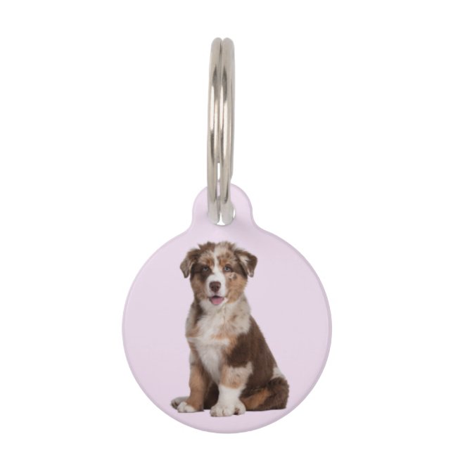 Australian Shepherd | Pet Tag (Front)