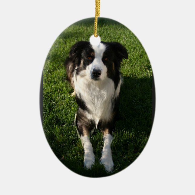 Australian Shepherd Photo  Ornament (Front)