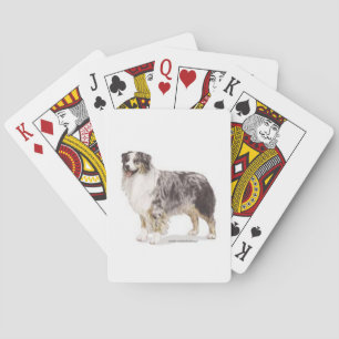 Australian Shepherd Playing Cards